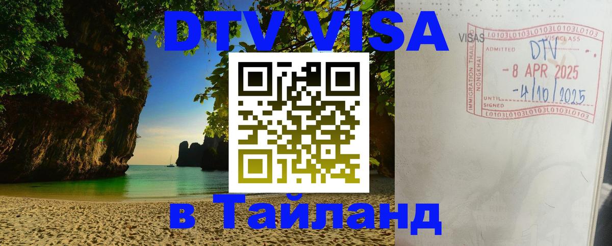 Сколько стоит DTV виза — актуальные цены, оформление даже без документов - 19.11.2025 